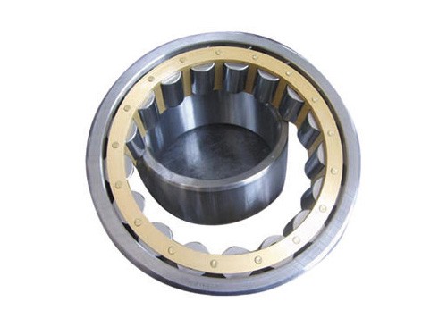 Cylindrical roller bearing06