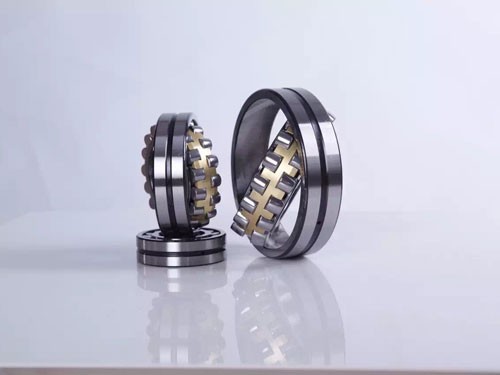 Spherical roller bearing (6)