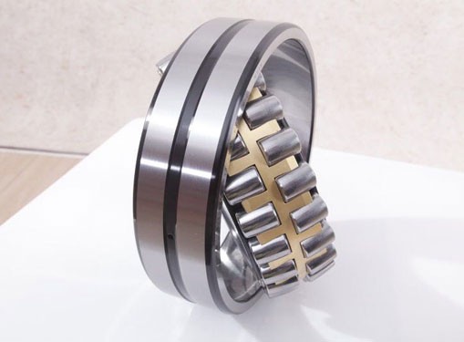 Spherical roller bearing (8)
